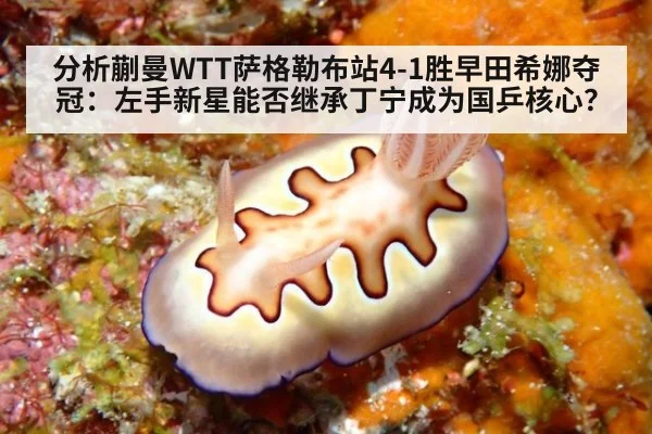 分析蒯曼WTT萨格勒布站4-1胜早田希娜夺冠：左手新星能否继承丁宁成为国乒核心？