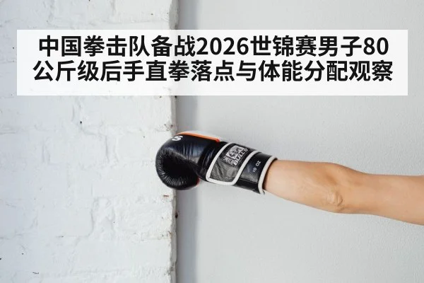 boxing gloves punch